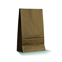 Paper SOS Bag (Self Opening Satchel #12) 330x178x112mm
