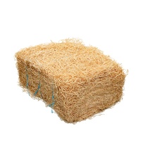 Shredded Wood